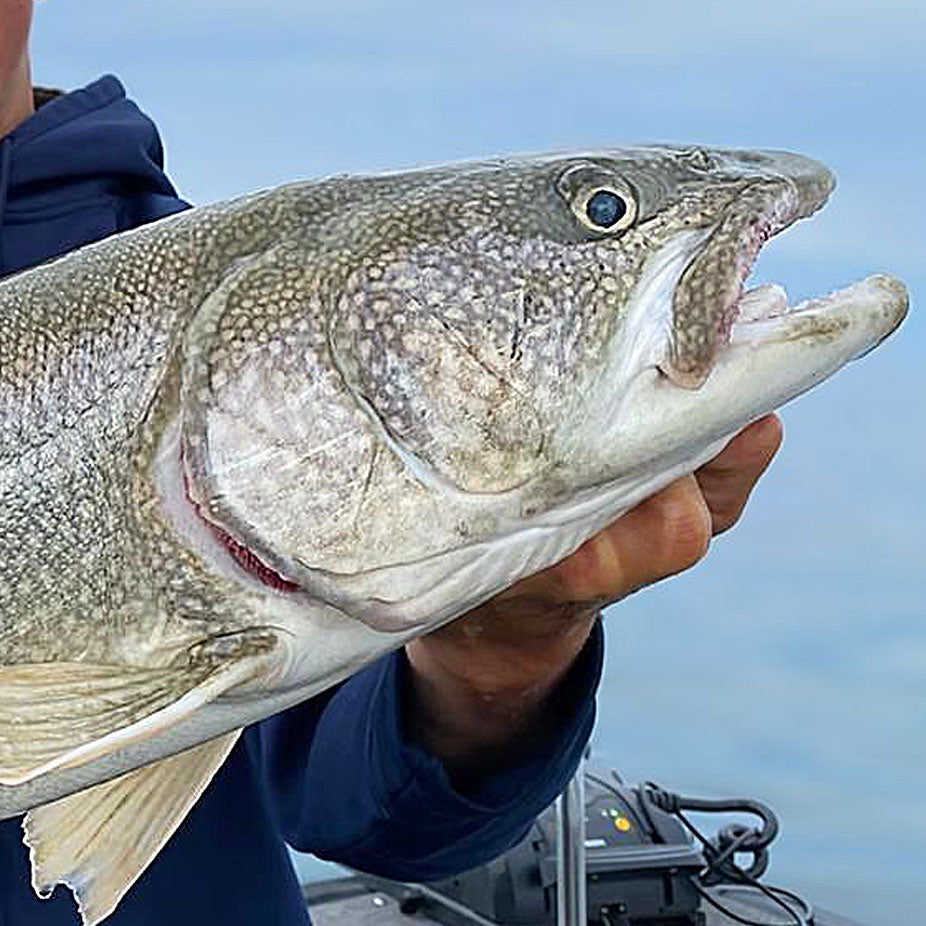 Fishing Friday: How To Find the Best Trolling Speed 