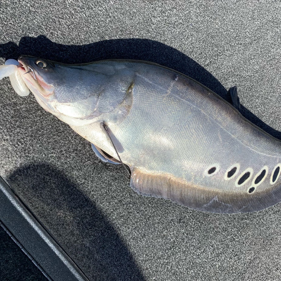 extreme-board.com fish hook moon Pro-Series FUDO Super Ocean Stainless Kona Cut Hookset 12/0: 11.25