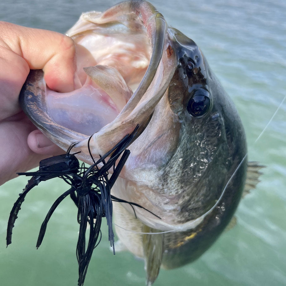 Rivers from North to South: The First Choice for Early Spring