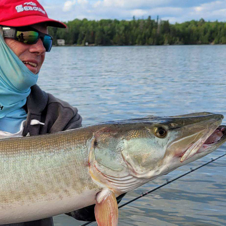 Ferocious & Elusive - The KING of Freshwater | Seaguar