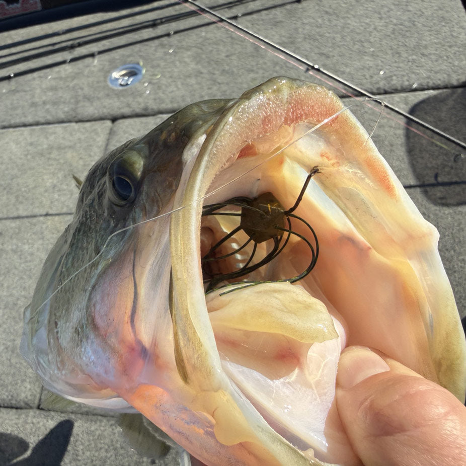 Top Pros Look at Hot New JDM Baits