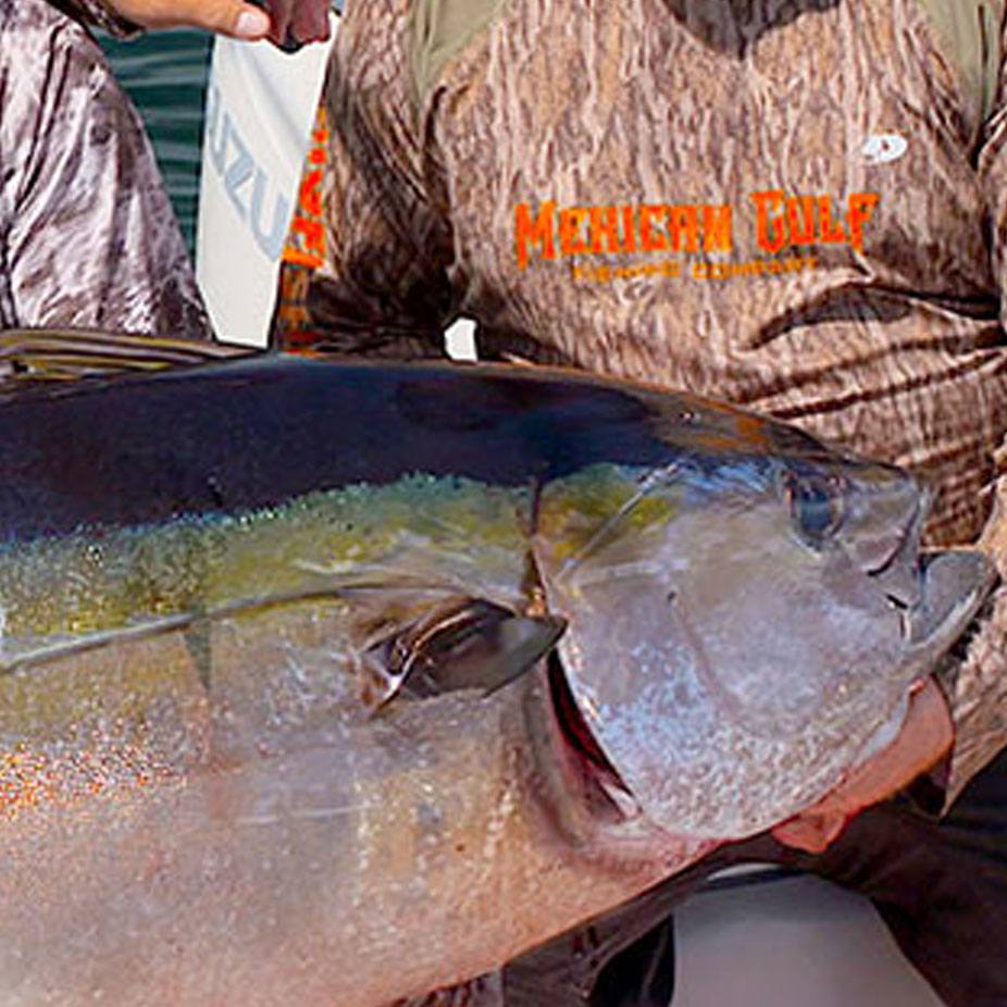 Seaguar 80PL25 Seaguar Pink Label Fishing Line 25 80LB, 1 - Kroger
