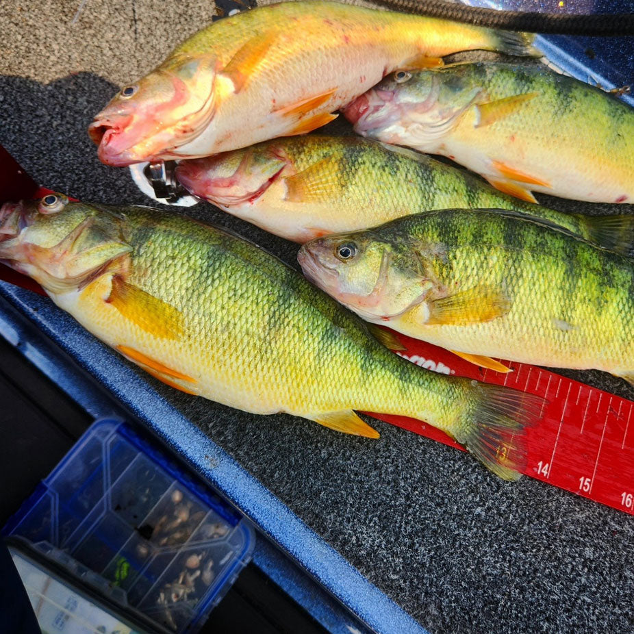 Panfish Delish: Catch & Cook