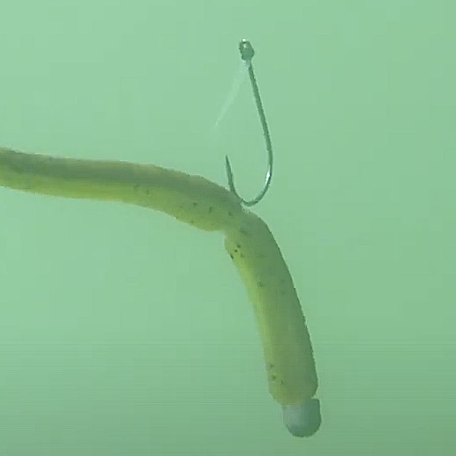 Mark Zona on Big Worms for a Neko Rig