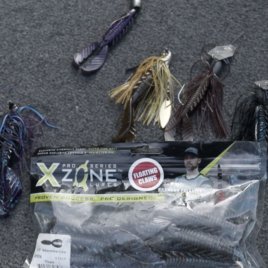Baits You Can Use for a Variety of Techniques